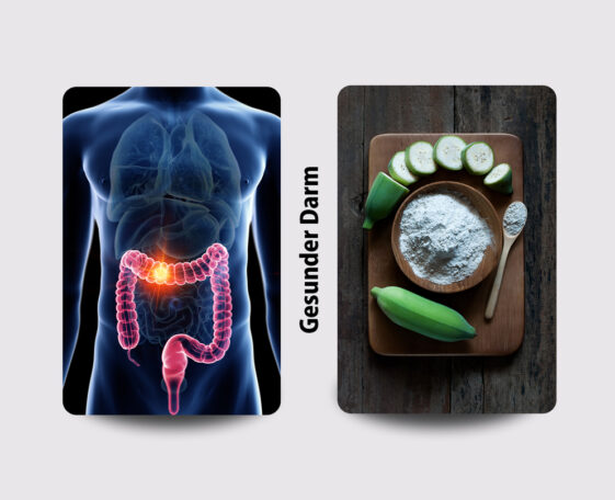 Gesunder Darm