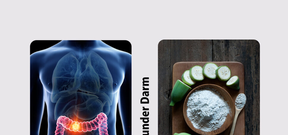 Gesunder Darm