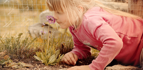 Aromatherapie-4_child-g2b550b1f5_1280