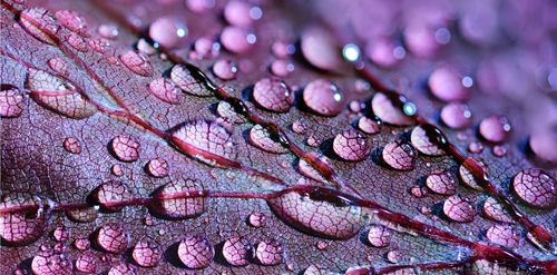 Inkontinenz-3_dewdrops-gef6c18d9f_1280