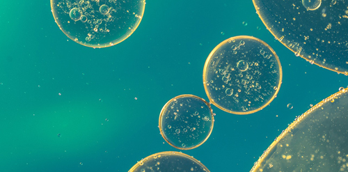 Mikronährstoffe-1_oil-in-water-gcd27f406e_1280